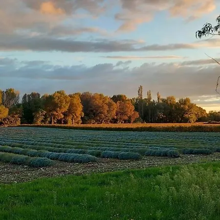 Hébergement de vacances Les Chenes Verts *